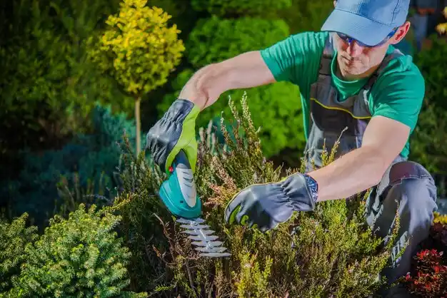 landscaping services Campton